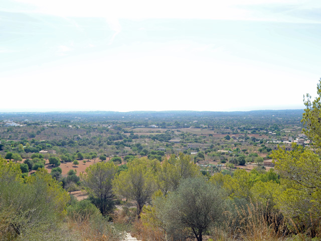 En vente sur l’le de Majorque (Mallorca) charmante  finca  de 18'000 m2 proche du parc Mondrag