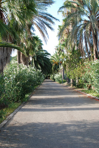 En vente  Palma de Mallorca (Majorque) dans les les Balares, magnifique proprit de matre sur 23 hectares avec vocation prononce pour le tourisme rural