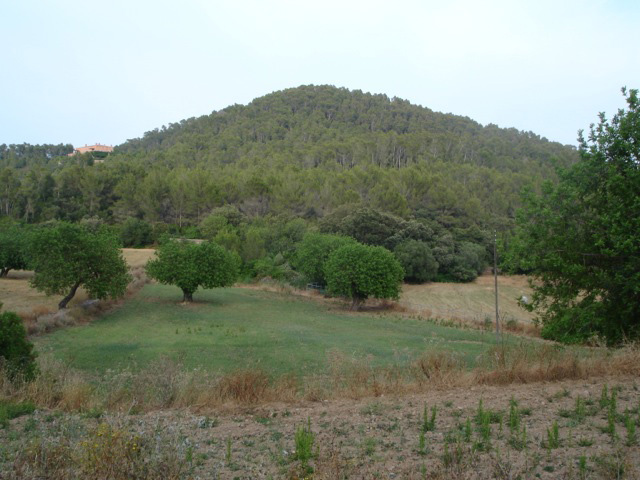 En vente  Palma de Mallorca (Majorque) dans les les Balares, magnifique proprit de matre sur 23 hectares avec vocation prononce pour le tourisme rural